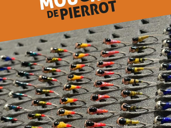 Boîte 164 Perdigones