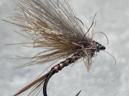 La brune de Mars (march brown)