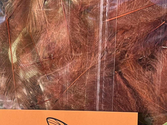 Plumes de CDC Ultra Sélectionnées JUMBO XXL - Rouille Marron