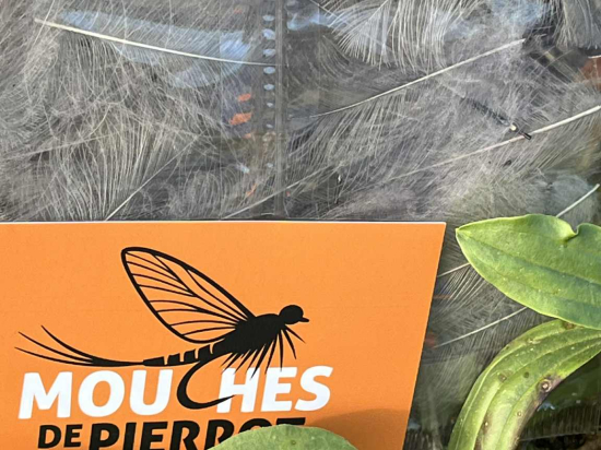 Plumes de CDC Ultra Sélectionnées JUMBO XXL - Dun