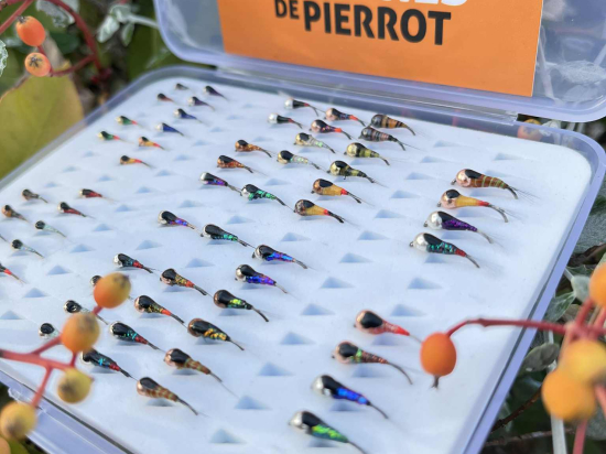 Boîte 50 Perdigones