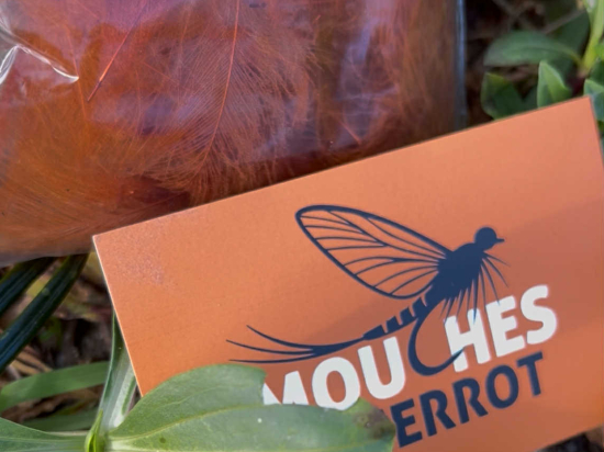 Plumes de CDC Ultra Sélectionnées JUMBO XXL - Rouille Orangé