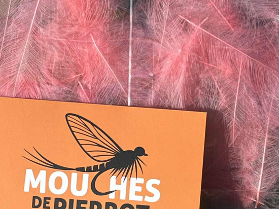 Plumes de CDC Ultra Sélectionnées JUMBO XXL - Rose