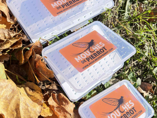 boîte à nymphes extra plate