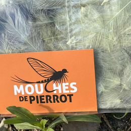 Plumes de CDC Ultra Sélectionnées JUMBO XXL - Jaune Pale