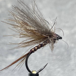 La brune de Mars (march brown)