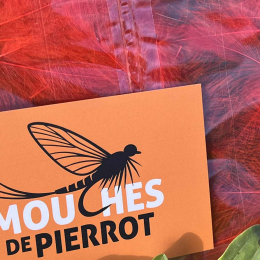 Plumes de CDC Ultra Sélectionnées JUMBO XXL - Rouge Chine