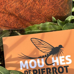 Poils de lièvre - Orange