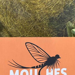 Poils de lièvre - Olive