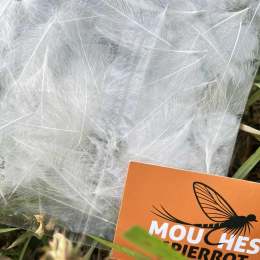 Plumes de CDC Ultra Sélectionnées JUMBO XXL - Nat. Blanc