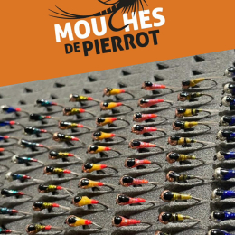 Boîte 164 Perdigones