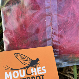 Plumes de CDC Ultra Sélectionnées JUMBO XXL - Rouge Bordeaux