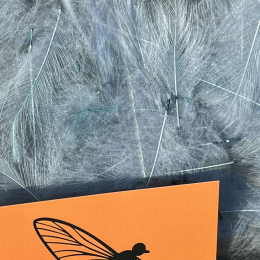 Plumes de CDC Ultra Sélectionnées JUMBO XXL - Olive Blue Dun