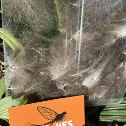 Plumes CDC JUMBO XXL - Nat. Gris Foncé