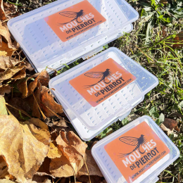 boîte à nymphes extra plate